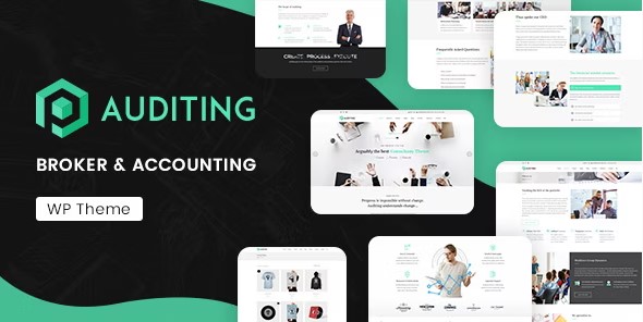 auditing wordpress accounting theme