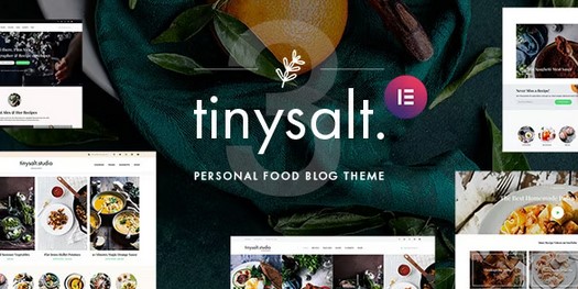 TinySalt - Personal Food Blog WordPress Theme