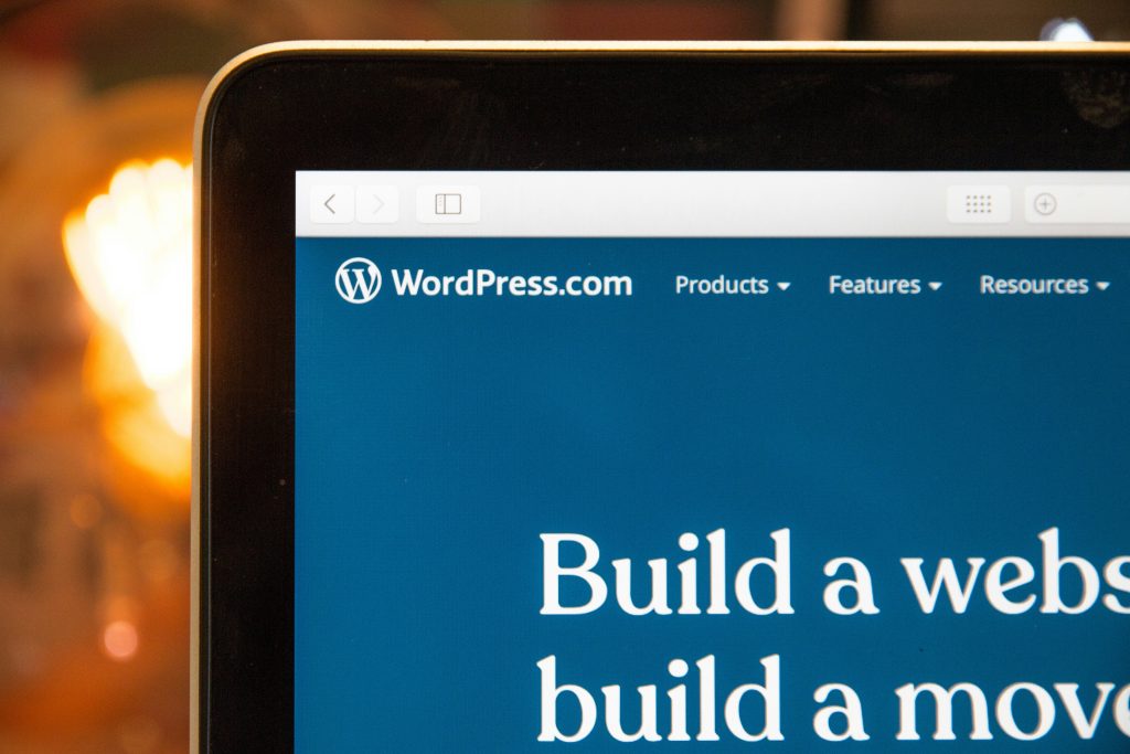 Wordpress theme development services